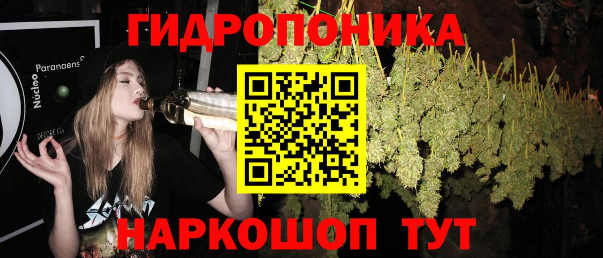 Марихуана план  МАРИХУАНА индика  Вход с VPN  Семёнов  Бошки Шишки планчик 